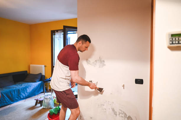 Best Attic Mold Removal  in Dumfries, VA