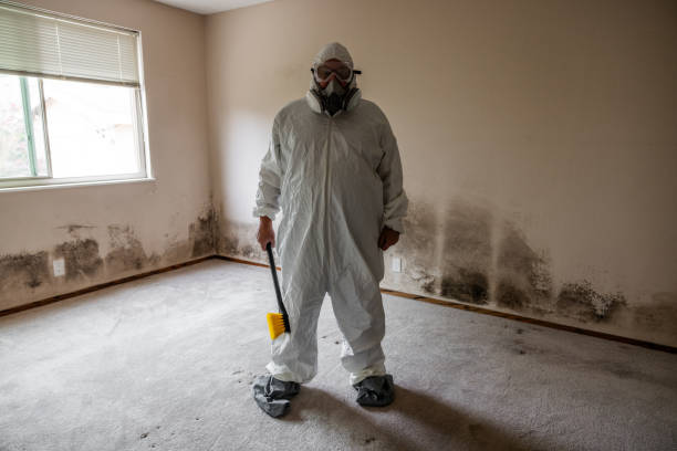 Best Crawl Space Mold Removal  in Dumfries, VA